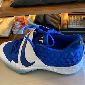 Mike Trout Nike Force zoom trainer 6